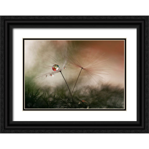 With And Without Black Ornate Wood Framed Art Print with Double Matting by Westum, Heidi