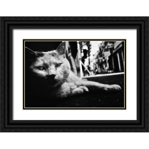 Cat Black Ornate Wood Framed Art Print with Double Matting by Suzuki, Tatsuo