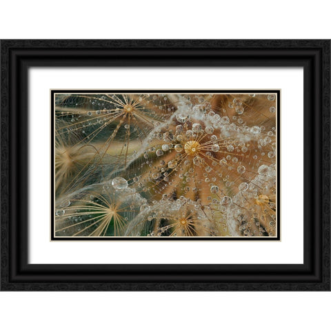 Starless Black Ornate Wood Framed Art Print with Double Matting by Filosofo, El