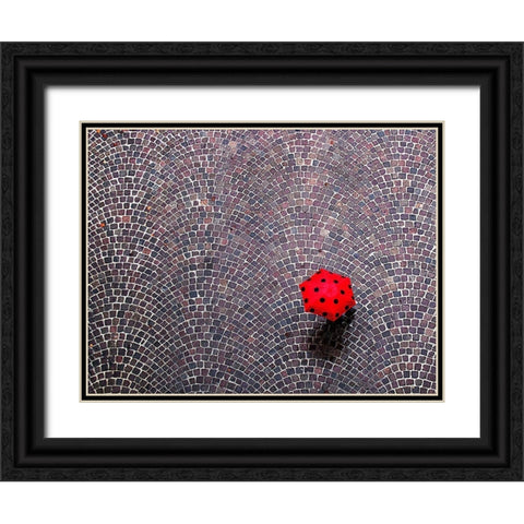Urban Ladybug Black Ornate Wood Framed Art Print with Double Matting by Maffei, Franco