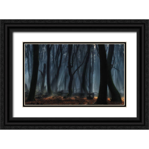 Dancing Trees Black Ornate Wood Framed Art Print with Double Matting by Paul Kraaij, Jan