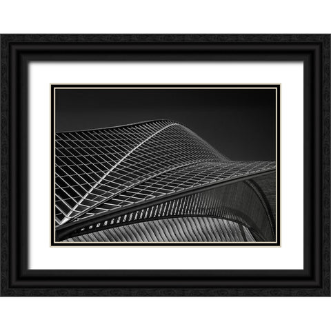 Stationlines Black Ornate Wood Framed Art Print with Double Matting by Van Maastricht, Henk