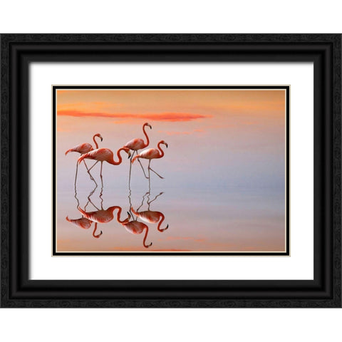 Flamingos Family Black Ornate Wood Framed Art Print with Double Matting by Cseresnjes, Anna