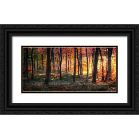 Autumn Woodland Sunrise Black Ornate Wood Framed Art Print with Double Matting by Photokes