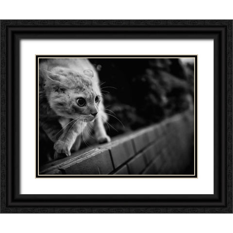 Ready To Fight Black Ornate Wood Framed Art Print with Double Matting by Suzuki, Tatsuo