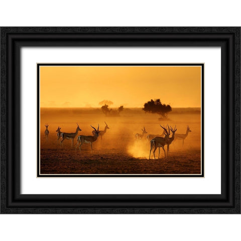 Sentinels Black Ornate Wood Framed Art Print with Double Matting by Guillemot, Mathilde