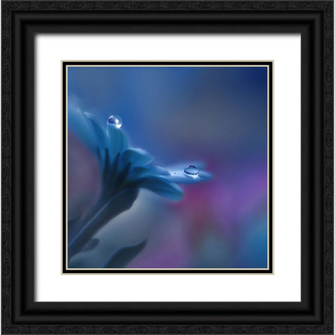 Beyond Mind And Heart... Black Ornate Wood Framed Art Print with Double Matting by Nan, Juliana