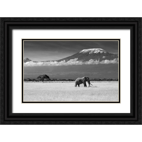 Lost Colors Ii Black Ornate Wood Framed Art Print with Double Matting by Canakci, Ibrahim