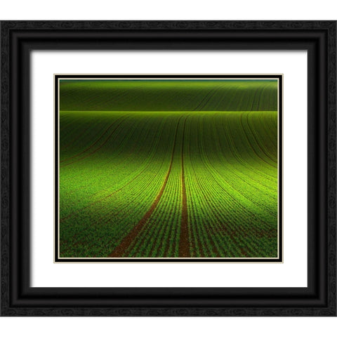 November Green Black Ornate Wood Framed Art Print with Double Matting by Schumacher, Nicolas