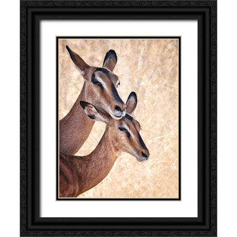 Do Not Worry, IM Here Black Ornate Wood Framed Art Print with Double Matting by Guillemot, Mathilde