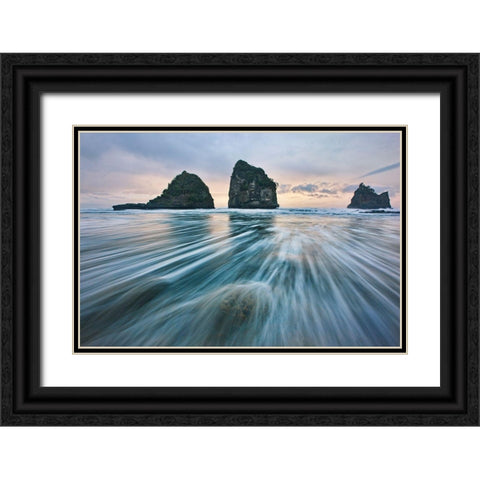 Wild West Coast Black Ornate Wood Framed Art Print with Double Matting by Zhang, Yan