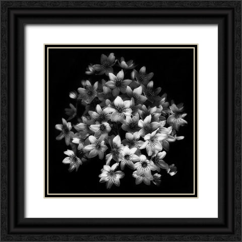 Early Sensation Black Ornate Wood Framed Art Print with Double Matting by Depaepe, Yvette