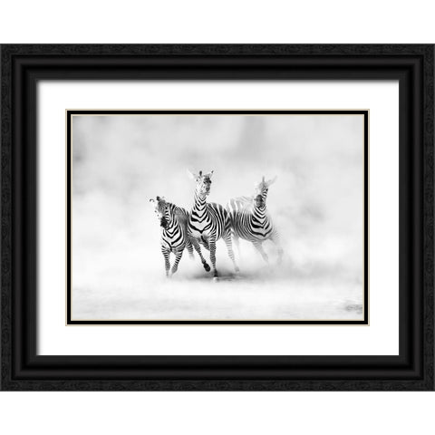 Zebras Black Ornate Wood Framed Art Print with Double Matting by Luis Duran, Juan