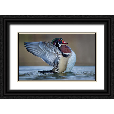 Morning Stretch Black Ornate Wood Framed Art Print with Double Matting by Schlaf, Christopher