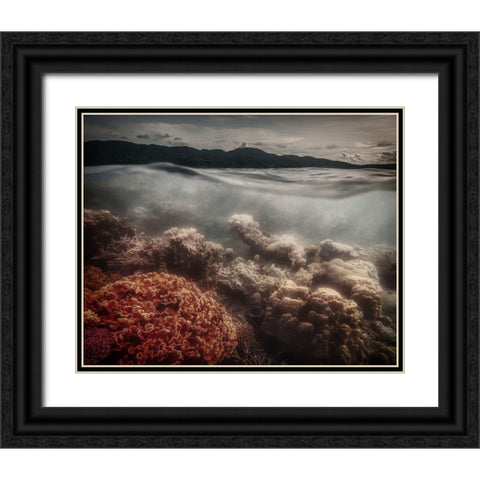 Underwater Evening Black Ornate Wood Framed Art Print with Double Matting by Stranak, Pavol