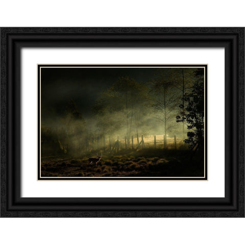 Misty Morning Black Ornate Wood Framed Art Print with Double Matting by Rizani, Nunu