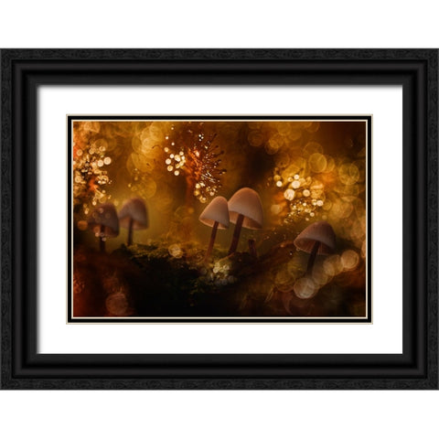 Untitled Black Ornate Wood Framed Art Print with Double Matting by Mijer, Wil