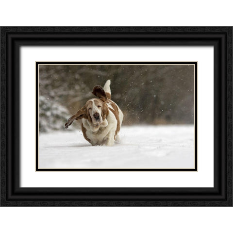 Almost Airborne Black Ornate Wood Framed Art Print with Double Matting by Van Den, Gert