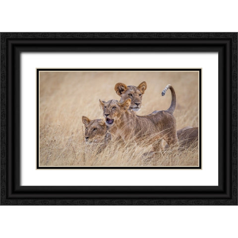 Boys At Play Black Ornate Wood Framed Art Print with Double Matting by C. Sink, Jeffrey