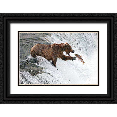 Unlucky  Jump Black Ornate Wood Framed Art Print with Double Matting by Stahl, Peter