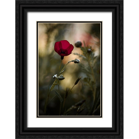 La Bailarina De Flamenco Black Ornate Wood Framed Art Print with Double Matting by BRAVIN, Fabien