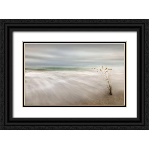 Ears In The Sea Black Ornate Wood Framed Art Print with Double Matting by Osuna, Fran