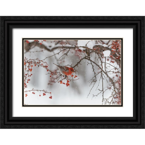 Nihonga Black Ornate Wood Framed Art Print with Double Matting by ASAMI, OSAMU