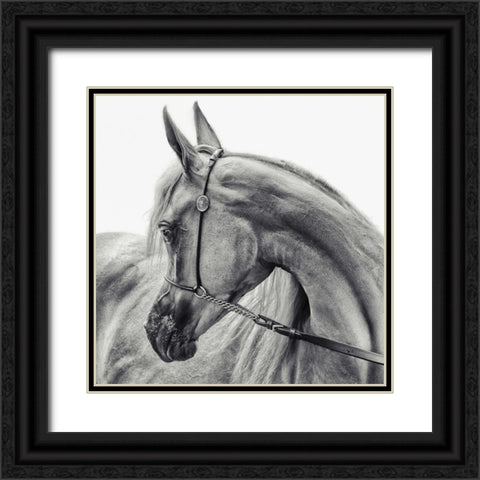 The Arabian Horse Black Ornate Wood Framed Art Print with Double Matting by Flour, Piet