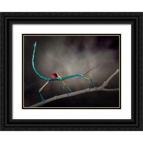 Threat Display Black Ornate Wood Framed Art Print with Double Matting by Hoffman, Jimmy