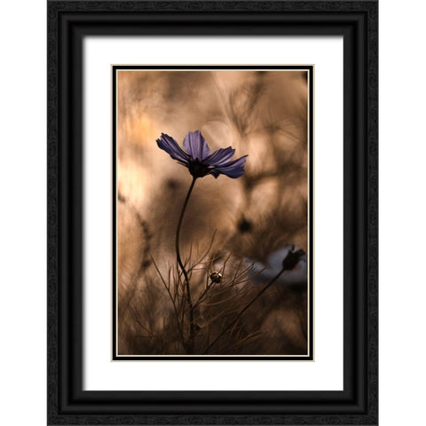 The Dancing Queen Black Ornate Wood Framed Art Print with Double Matting by Bravin, Fabien