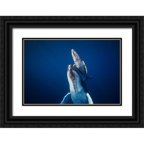 Come Back To The Surface Black Ornate Wood Framed Art Print with Double Matting by Gabriel, Barathieu