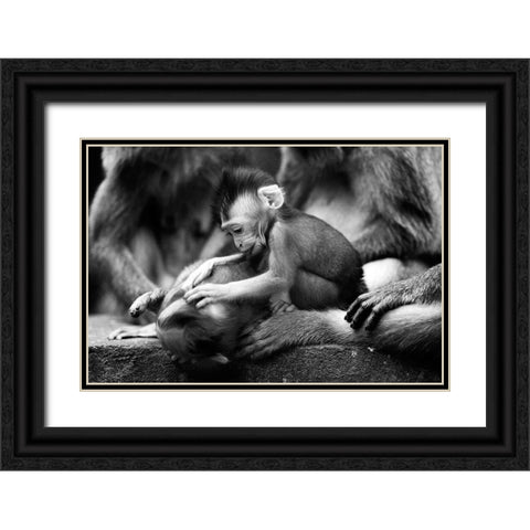 Untitled Black Ornate Wood Framed Art Print with Double Matting by Lee, Marcus