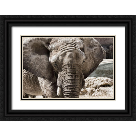 The Boss Black Ornate Wood Framed Art Print with Double Matting by Araujo, Nuno