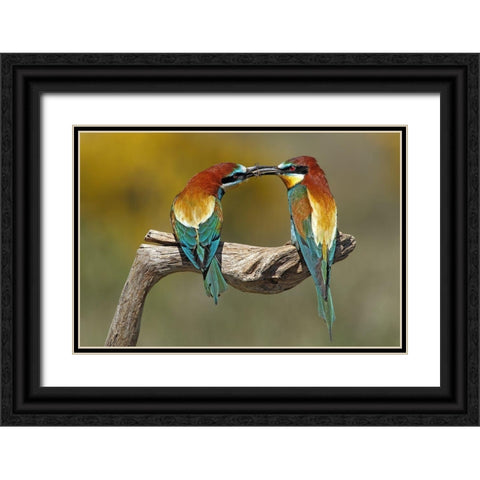 True Love Black Ornate Wood Framed Art Print with Double Matting by Merino, Nicolas