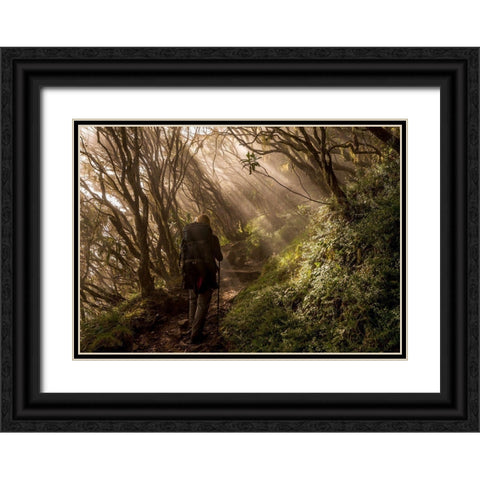 Through The Enchanted Forest Black Ornate Wood Framed Art Print with Double Matting by Wrobel, Karsten