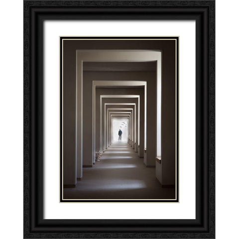 The Cat Who Walks Through Walls Black Ornate Wood Framed Art Print with Double Matting by Eliash, Tomer