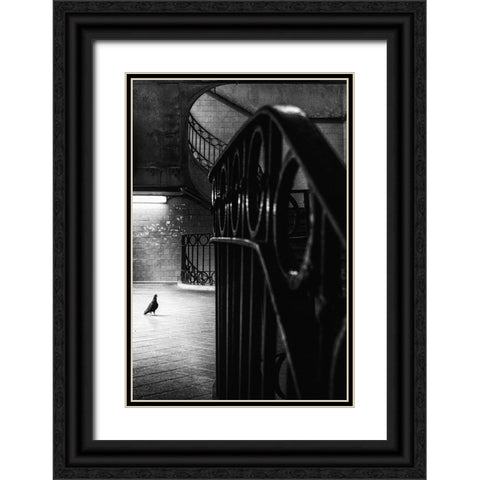 Big Bird In A Small Cage Black Ornate Wood Framed Art Print with Double Matting by Mexia, Laura