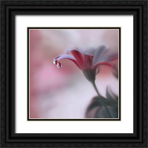 Invisible Touch... Black Ornate Wood Framed Art Print with Double Matting by Nan, Juliana