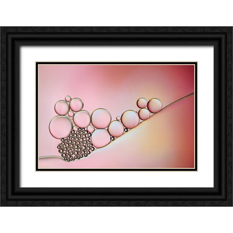 Pearlescent Pastel Black Ornate Wood Framed Art Print with Double Matting by Westum, Heidi
