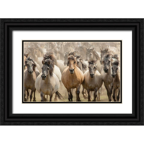 Gallop Black Ornate Wood Framed Art Print with Double Matting by Uhlig, Dieter