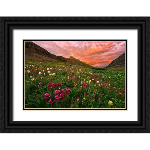 Carpet Of Wildflowers Black Ornate Wood Framed Art Print with Double Matting by Xu, Mei