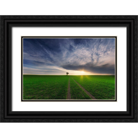 Loner In The Sun Black Ornate Wood Framed Art Print with Double Matting by Krol, Piotr