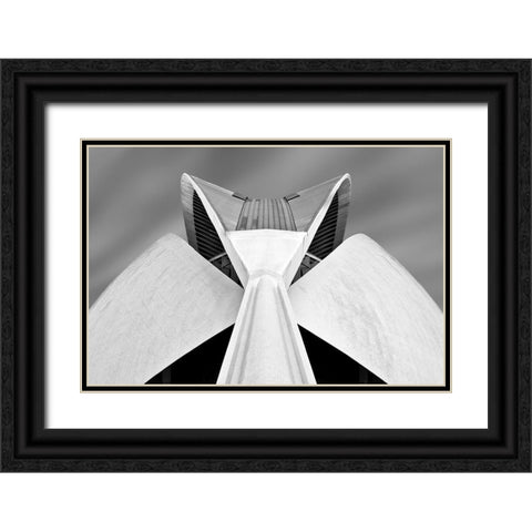 Calatrava Black Ornate Wood Framed Art Print with Double Matting by Van Zaane, Alida