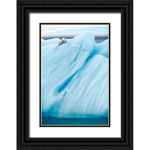 Observing Black Ornate Wood Framed Art Print with Double Matting by Gil Raga, Joan