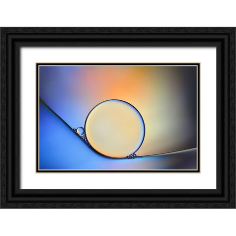 Oil And Water In Harmony Black Ornate Wood Framed Art Print with Double Matting by Westum, Heidi