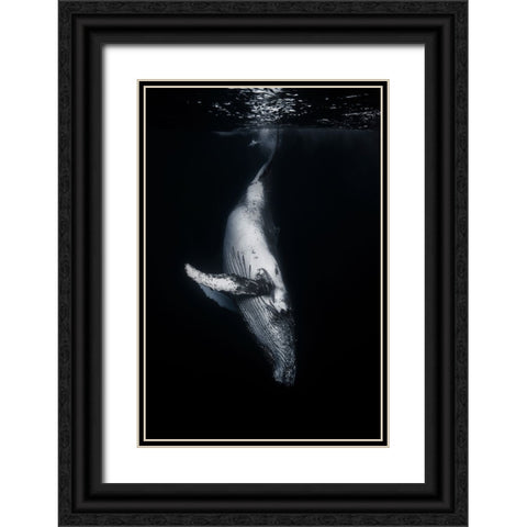 Black Whale Black Ornate Wood Framed Art Print with Double Matting by Gabriel, Barathieu