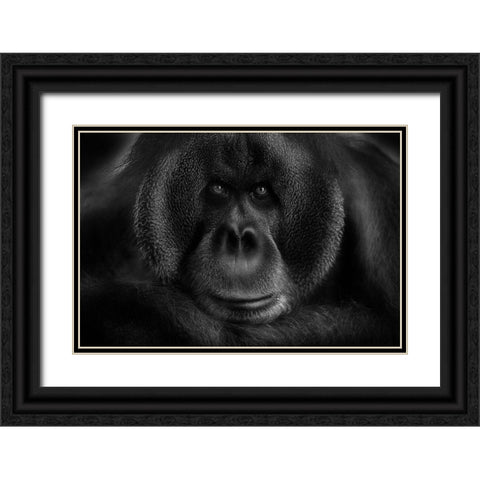 Maurice Black Ornate Wood Framed Art Print with Double Matting by Wildkay
