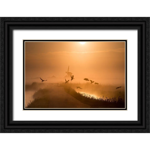 Sunrise Flight Black Ornate Wood Framed Art Print with Double Matting by Klaverdijk, Harm