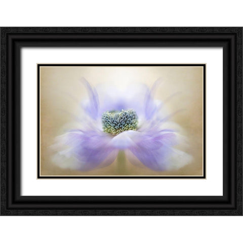 Breeze Black Ornate Wood Framed Art Print with Double Matting by Parker, Jacky