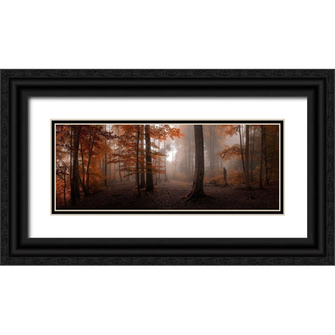 Autumn Black Ornate Wood Framed Art Print with Double Matting by Meier, Tom